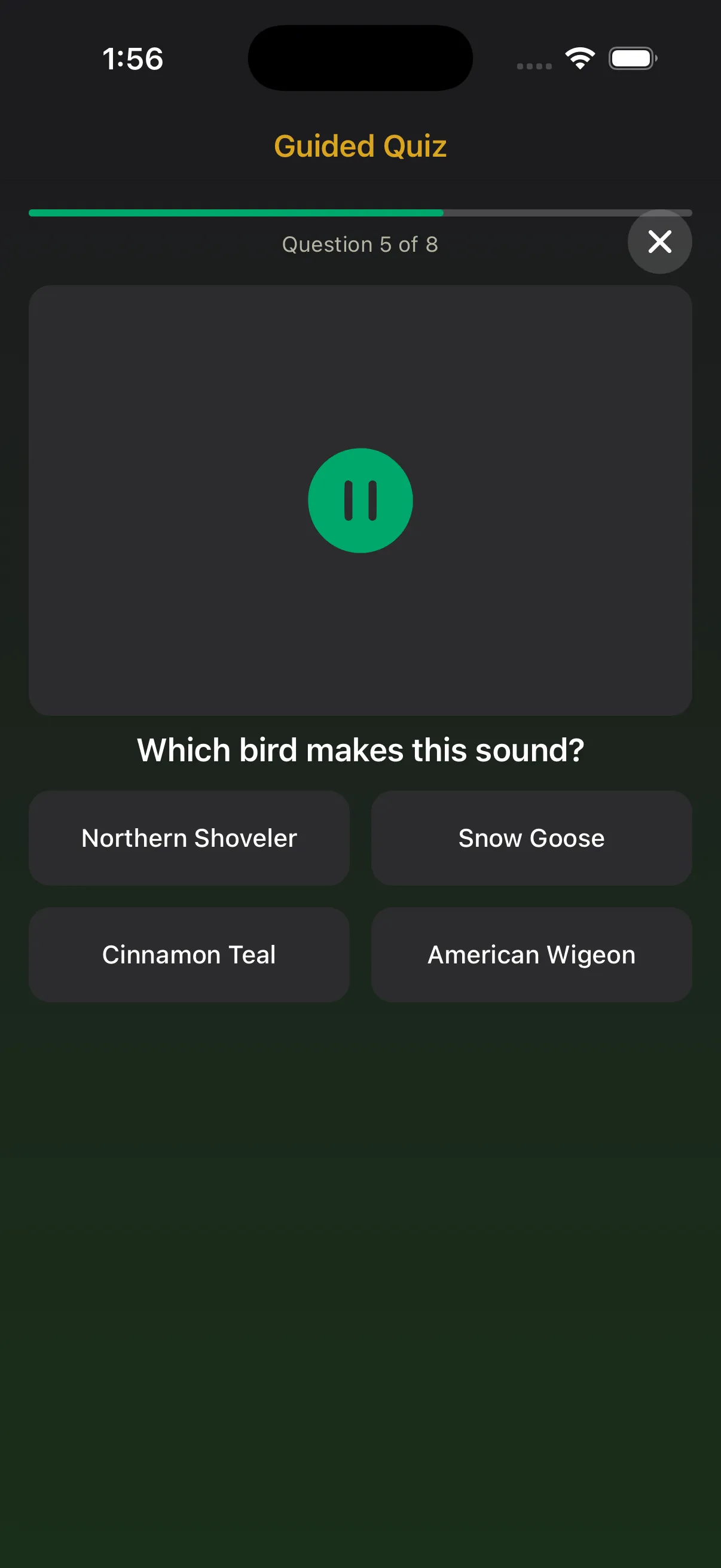 BirdBrain sound quiz asking you to identify a bird by its call